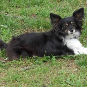 Meet your Posher, Carol